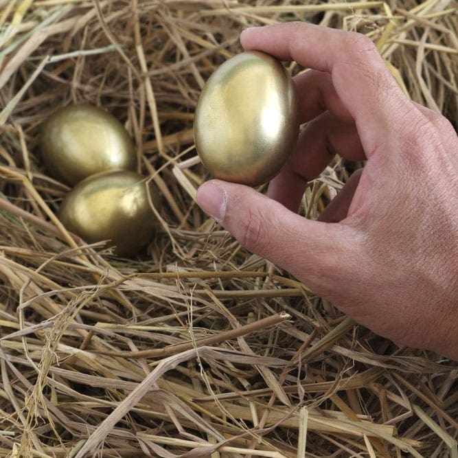 businessman holding golden egg from nest
