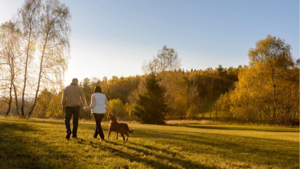 A couple walking a dog in the countryside
